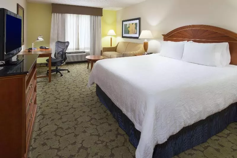 キングサイズベッドのスタンダードルーム, Hilton Garden Inn Gainesville