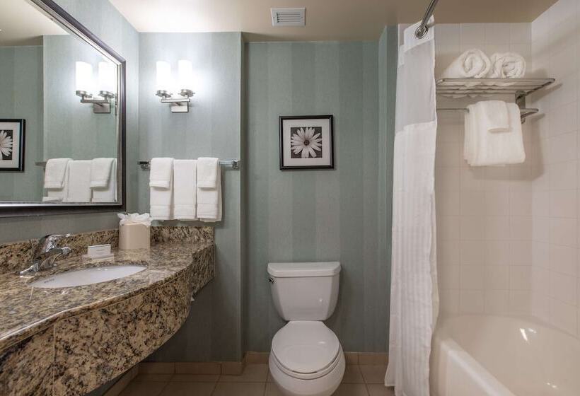 غرفة قياسية سرير كينج لذوى الإحتياجات الخاصة, Hilton Garden Inn Lynchburg