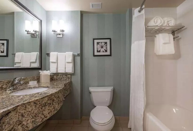 اتاق استاندارد با تخت بزرگ برای معلولان, Hilton Garden Inn Lynchburg