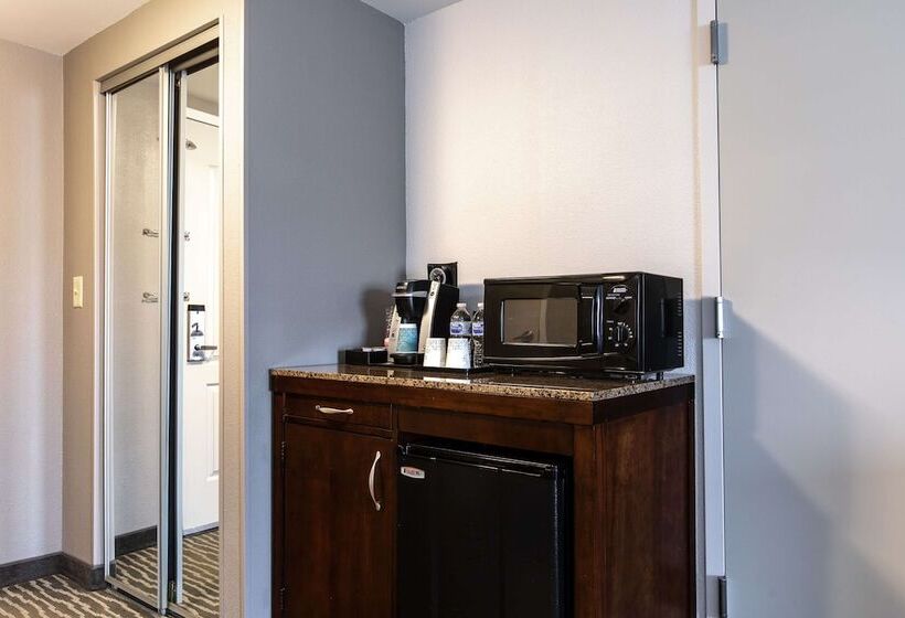 장애인을 위한 킹사이즈 침대 스탠다드 룸, Hilton Garden Inn Lynchburg
