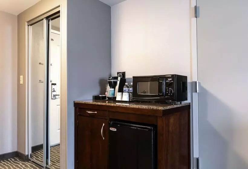 اتاق استاندارد با تخت بزرگ برای معلولان, Hilton Garden Inn Lynchburg