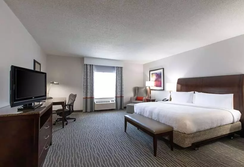 اتاق استاندارد با تخت بزرگ برای معلولان, Hilton Garden Inn Lynchburg