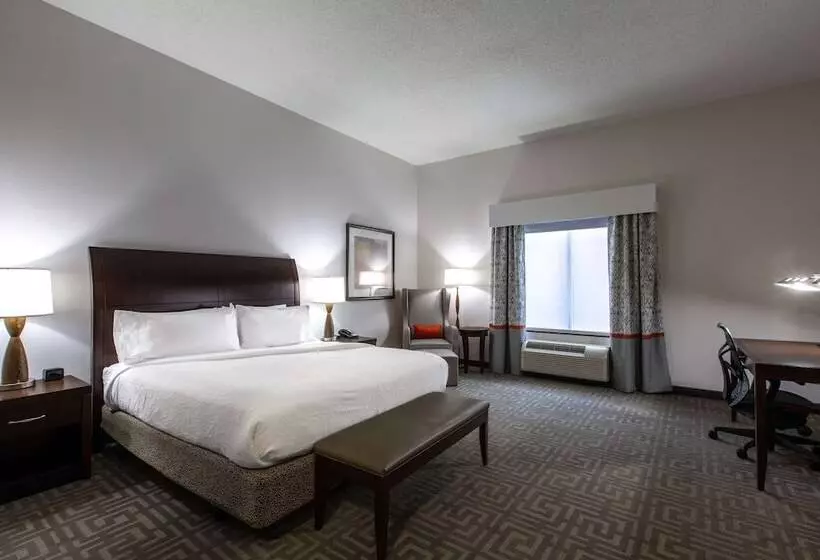 اتاق استاندارد با تخت بزرگ برای معلولان, Hilton Garden Inn Lynchburg