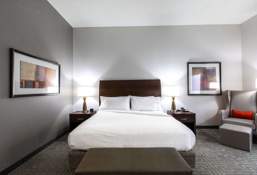 غرفة قياسية سرير كينج لذوى الإحتياجات الخاصة, Hilton Garden Inn Lynchburg