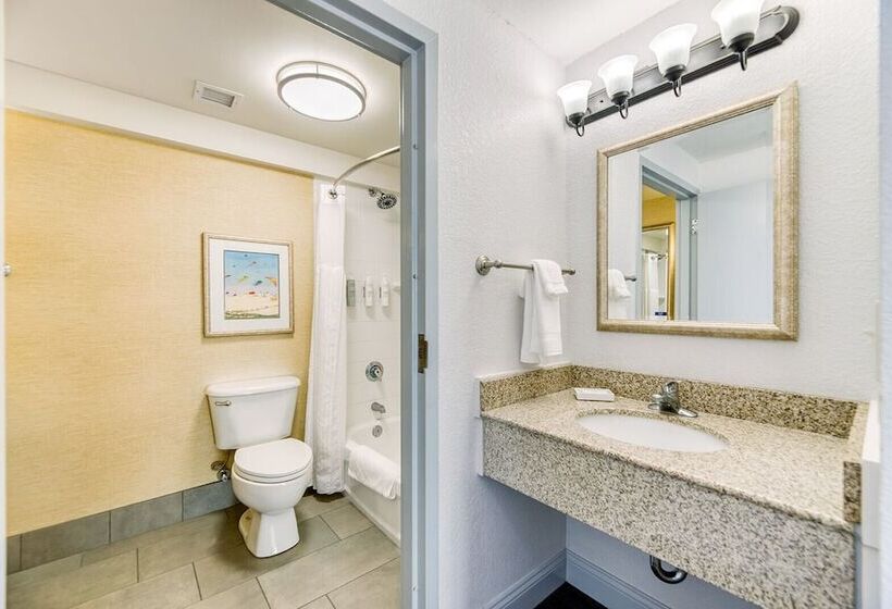 带海景的带双人床的标准间, Hilton Garden Inn Outer Banks/kitty Hawk