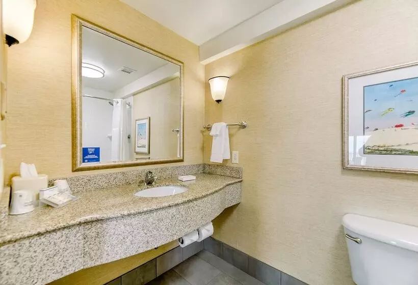 １階のスタンダードルーム, Hilton Garden Inn Outer Banks/kitty Hawk