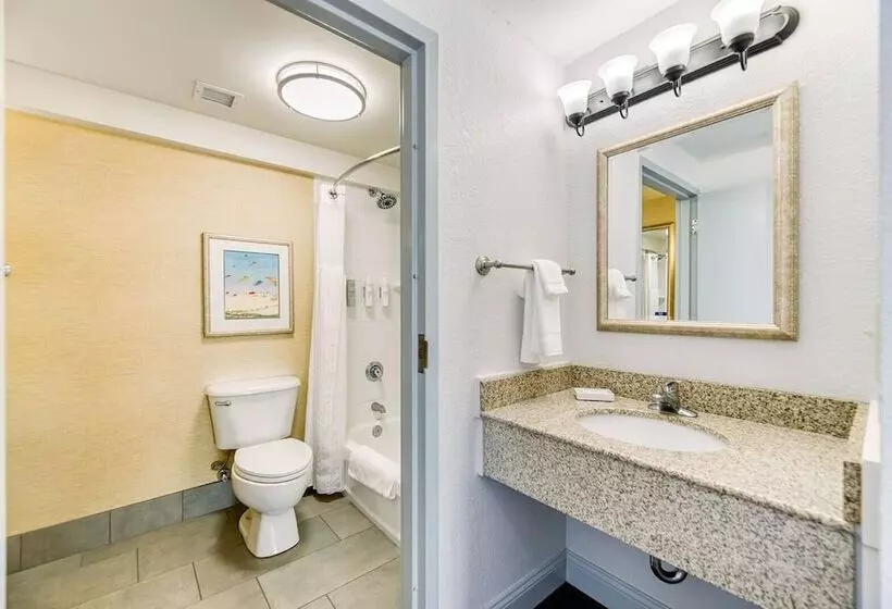 １階のスタンダードルーム, Hilton Garden Inn Outer Banks/kitty Hawk