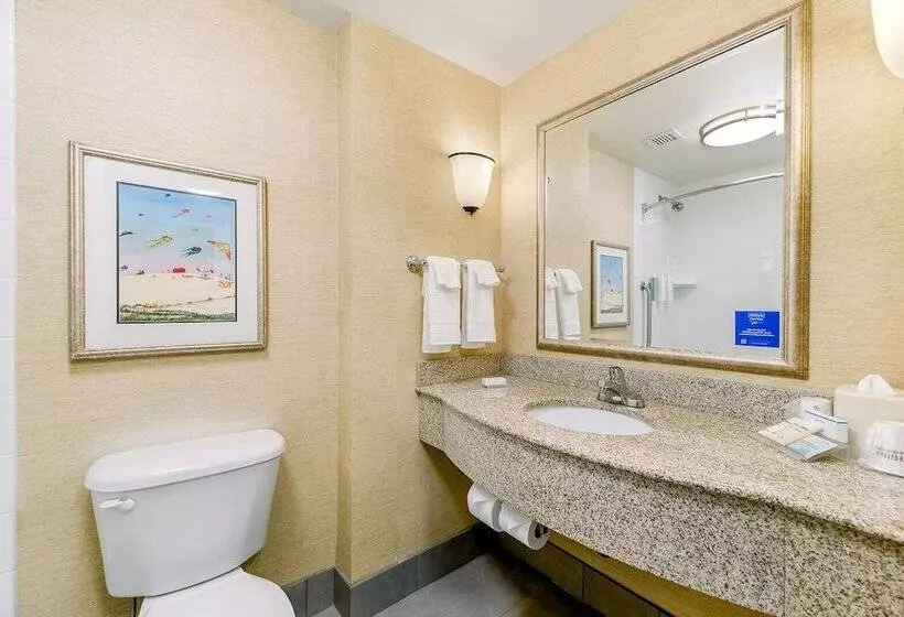 ダブルベッドスタンダードルーム, Hilton Garden Inn Outer Banks/kitty Hawk
