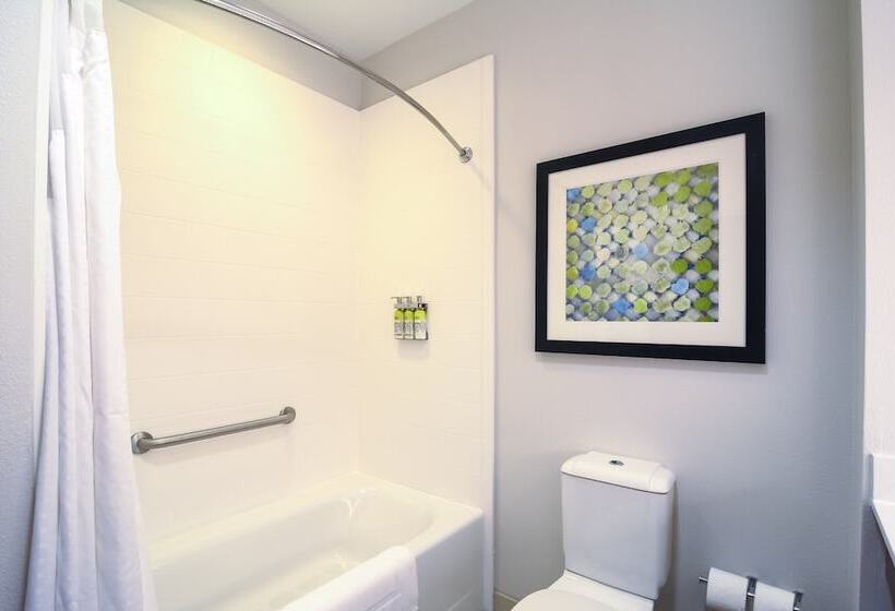 غرفة قياسية, Holiday Inn Express Hotel & Suites Tampa Usf Busch Gardens, An Ihg