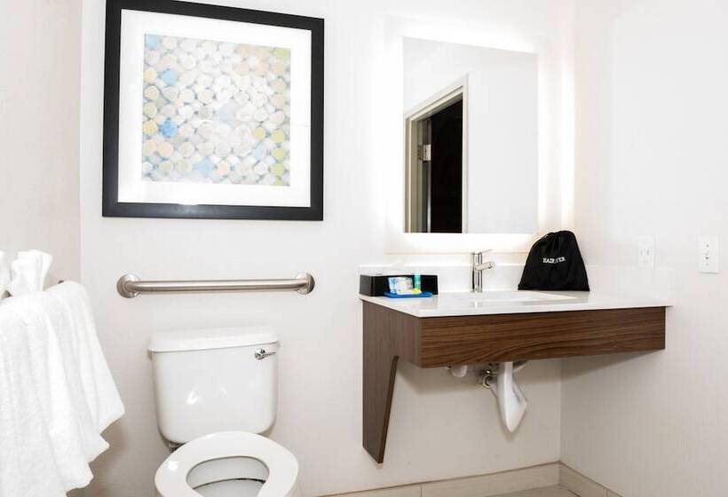 Номер Стандарт, Holiday Inn Express Hotel & Suites Tampa Usf Busch Gardens, An Ihg