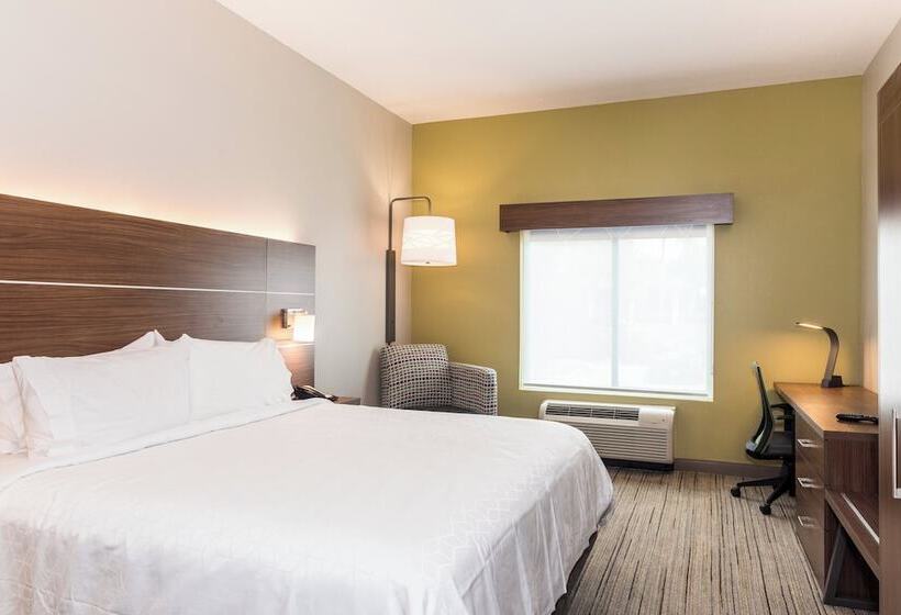 غرفة قياسية, Holiday Inn Express Hotel & Suites Tampa Usf Busch Gardens, An Ihg