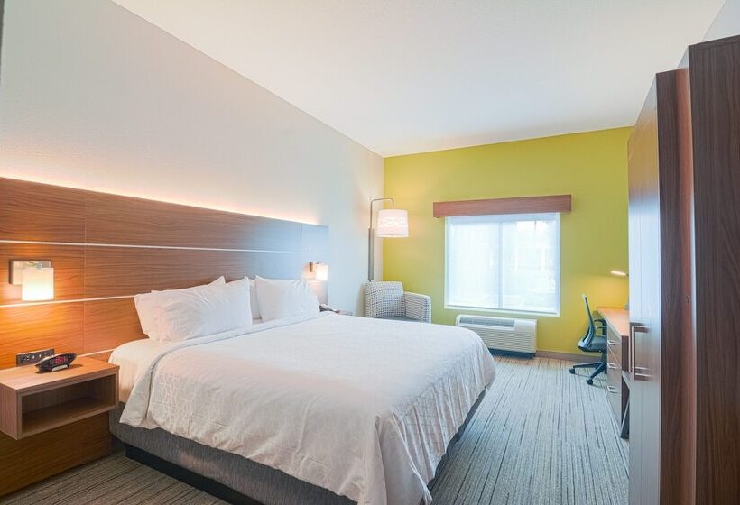 غرفة قياسية, Holiday Inn Express Hotel & Suites Tampa Usf Busch Gardens, An Ihg