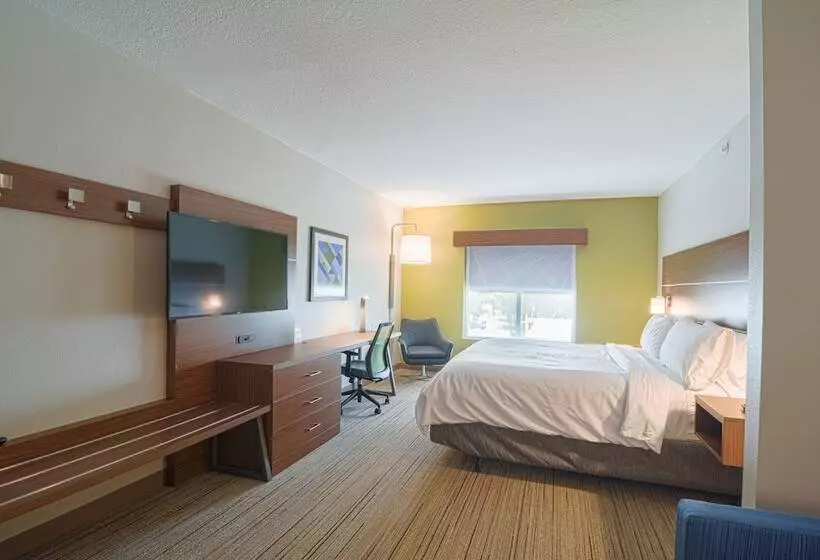 سوییت, Holiday Inn Express Hotel & Suites Tampa Usf Busch Gardens, An Ihg
