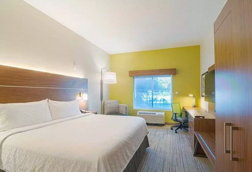 سوییت, Holiday Inn Express Hotel & Suites Tampa Usf Busch Gardens, An Ihg