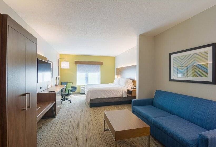 جناح, Holiday Inn Express Hotel & Suites Tampa Usf Busch Gardens, An Ihg
