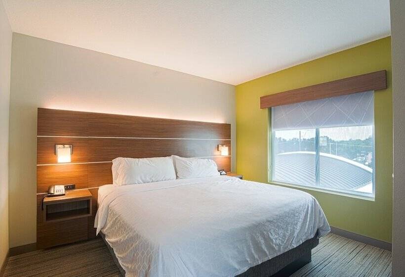 جناح غرفتين نوم, Holiday Inn Express Hotel & Suites Tampa Usf Busch Gardens, An Ihg