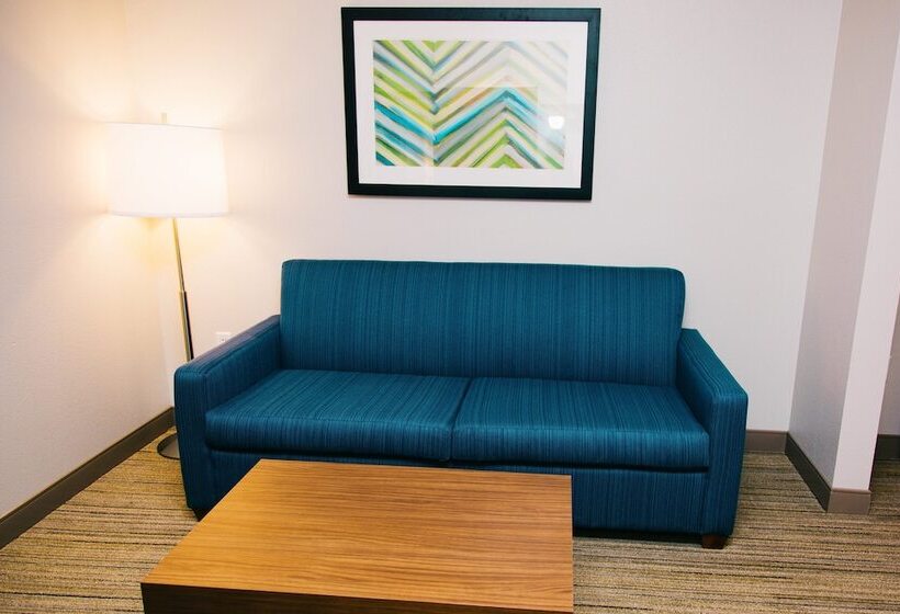 Люкс 2 Спальни, Holiday Inn Express Hotel & Suites Tampa Usf Busch Gardens, An Ihg