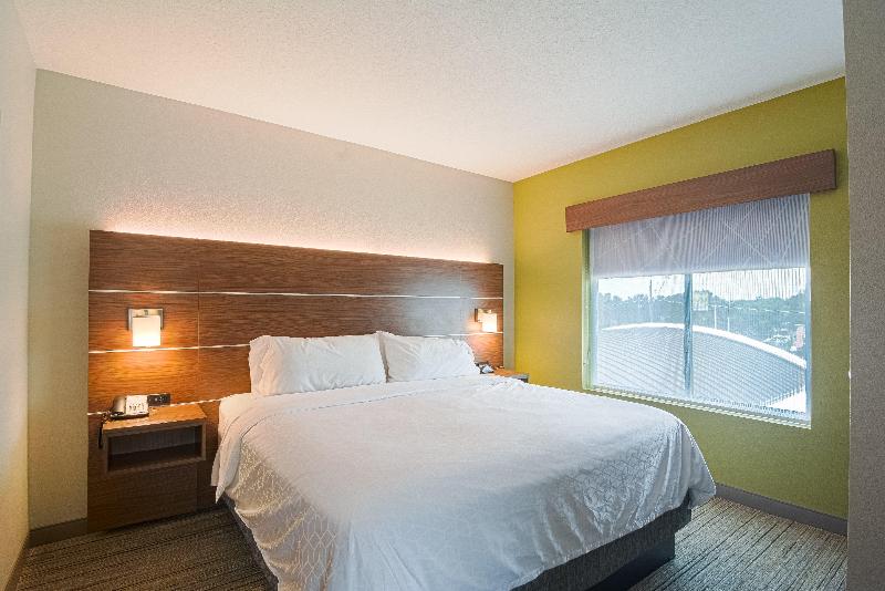 Люкс Кровать Кинг, Holiday Inn Express Hotel & Suites Tampa Usf Busch Gardens, An Ihg