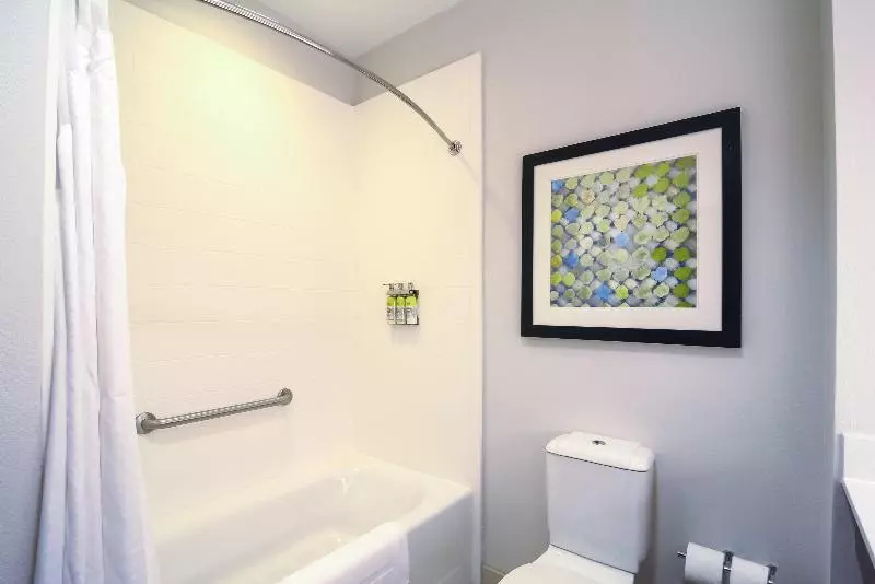 سوئیت با تخت بزرگ, Holiday Inn Express Hotel & Suites Tampa Usf Busch Gardens, An Ihg