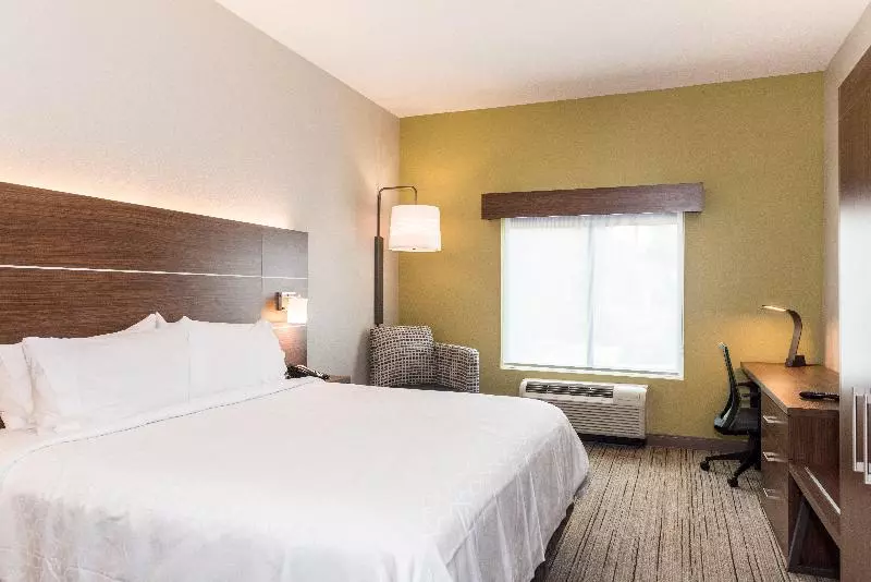 اتاق استاندارد با تخت بزرگ, Holiday Inn Express Hotel & Suites Tampa Usf Busch Gardens, An Ihg