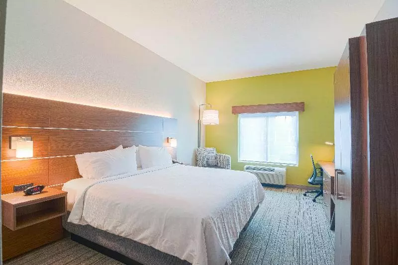 اتاق استاندارد با تخت بزرگ, Holiday Inn Express Hotel & Suites Tampa Usf Busch Gardens, An Ihg