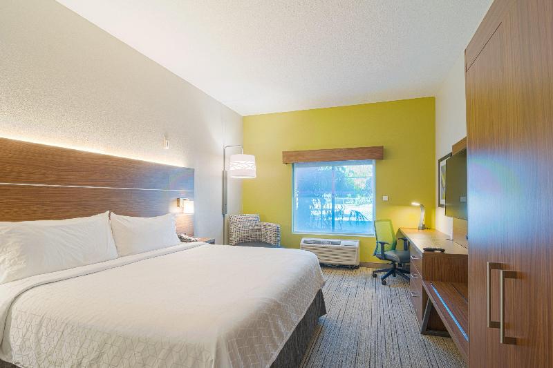 غرفة قياسية سرير كينج, Holiday Inn Express Hotel & Suites Tampa Usf Busch Gardens, An Ihg