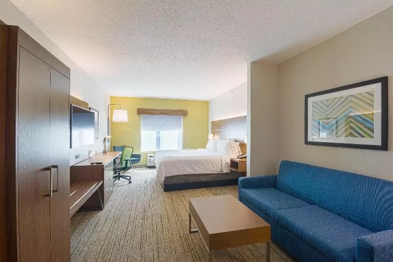 سوئیت با تخت بزرگ, Holiday Inn Express Hotel & Suites Tampa Usf Busch Gardens, An Ihg