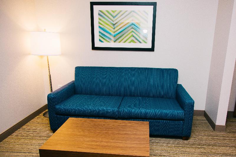 Люкс Кровать Кинг, Holiday Inn Express Hotel & Suites Tampa Usf Busch Gardens, An Ihg