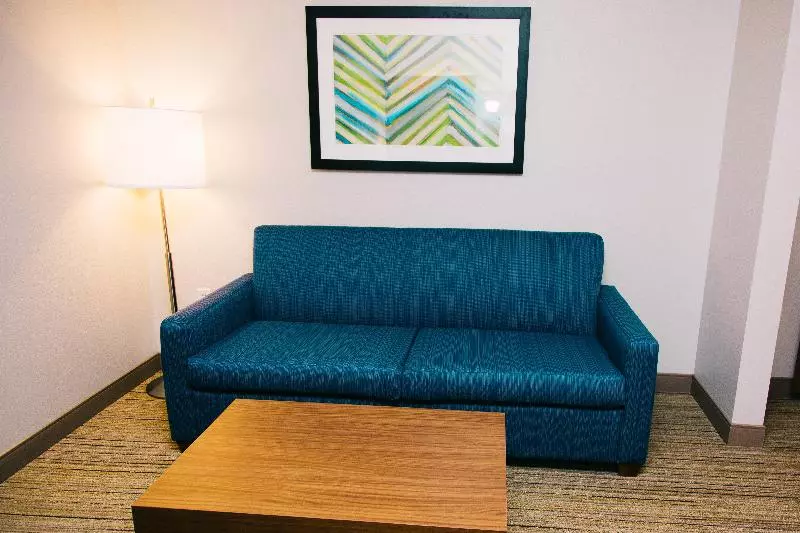 سوئیت با تخت بزرگ, Holiday Inn Express Hotel & Suites Tampa Usf Busch Gardens, An Ihg