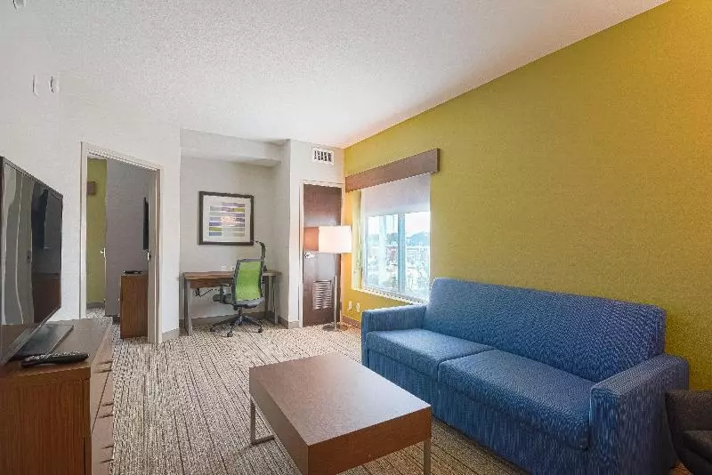سوئیت 2 خوابه, Holiday Inn Express Hotel & Suites Tampa Usf Busch Gardens, An Ihg