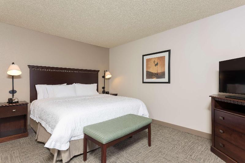 高级大房间, Park Inn By Radisson Frankfurt Airport