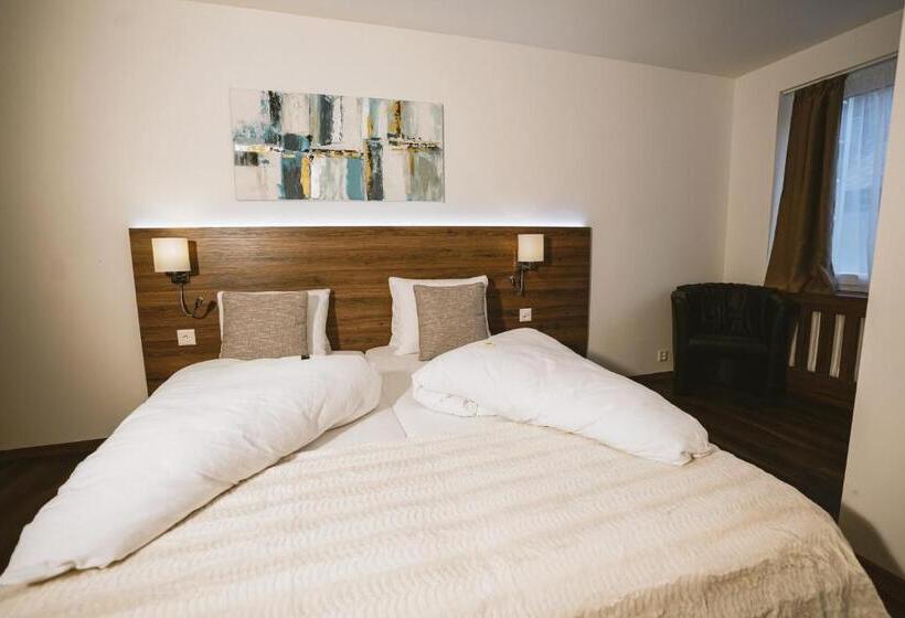 スタンダードシングルルーム, Römerhof