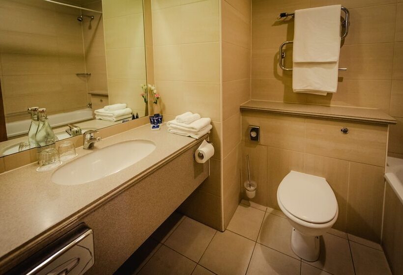 Номер Стандарт, Roganstown Hotel & Country Club