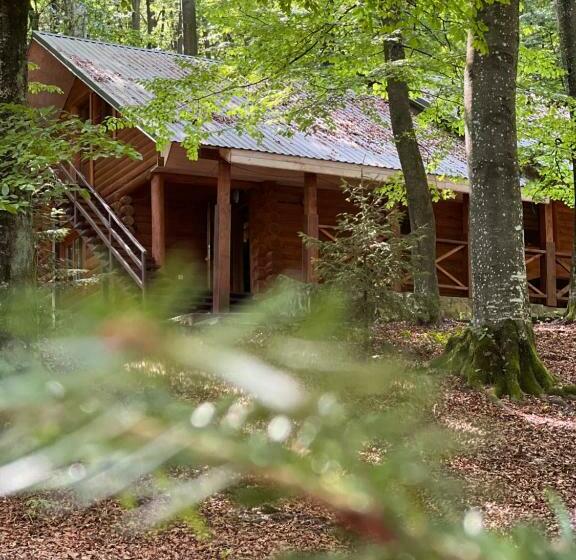 빌라 침실 1개, база відпочинку шиповець