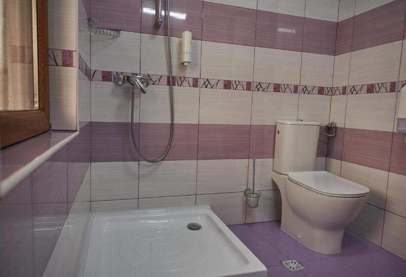 Номер Стандарт, Pensiunea Rares