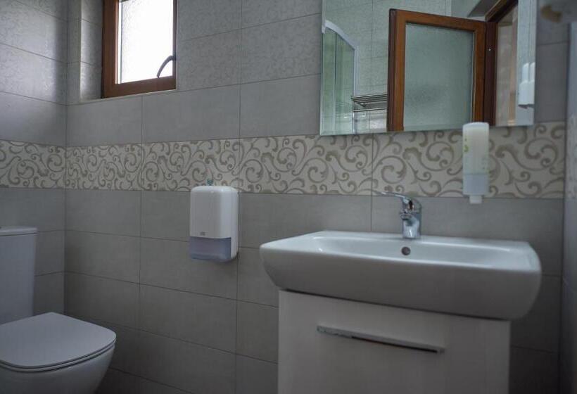 Номер Стандарт с Террасой, Pensiunea Rares