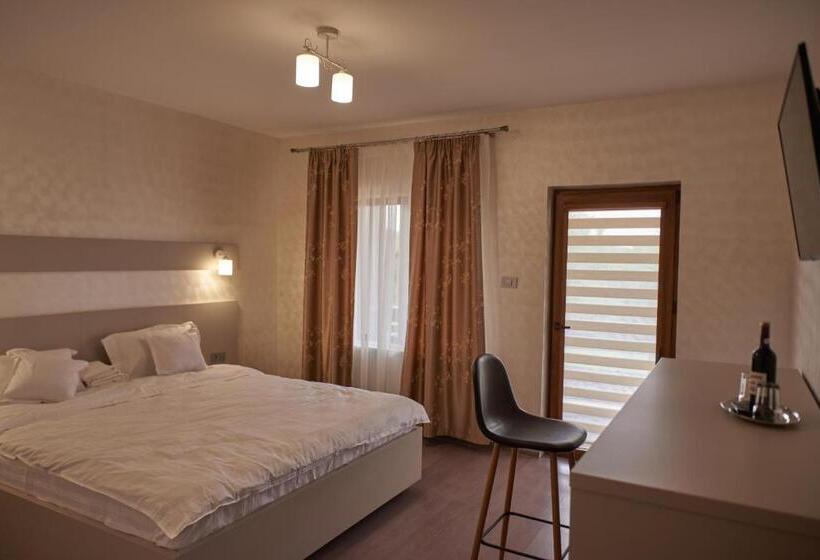 Номер Стандарт с Террасой, Pensiunea Rares