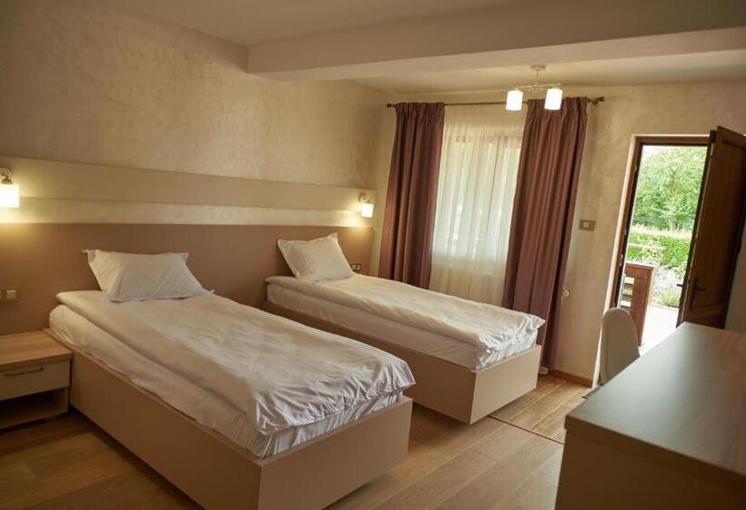 Дом 1 Спальня, Pensiunea Rares