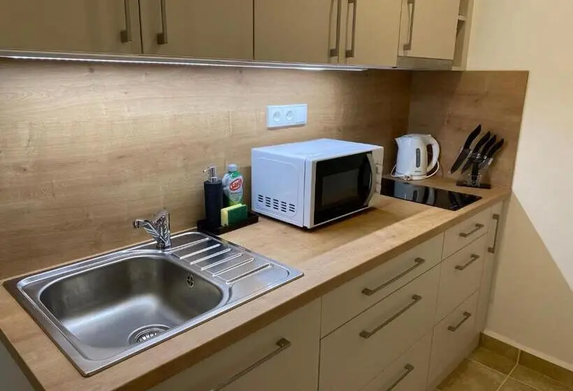 １ベッドルームのスーペリアアパートメント, Sg Apartmánový Dům Hoŕice