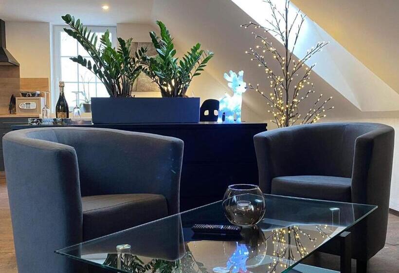 디럭스 스튜디오, Sg Apartmánový Dům Hoŕice