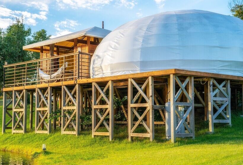 Standard Tent, Glamp Element   Campground