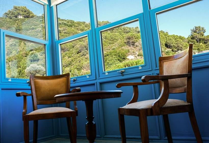 سوییت اجرایی, Mimas Marine