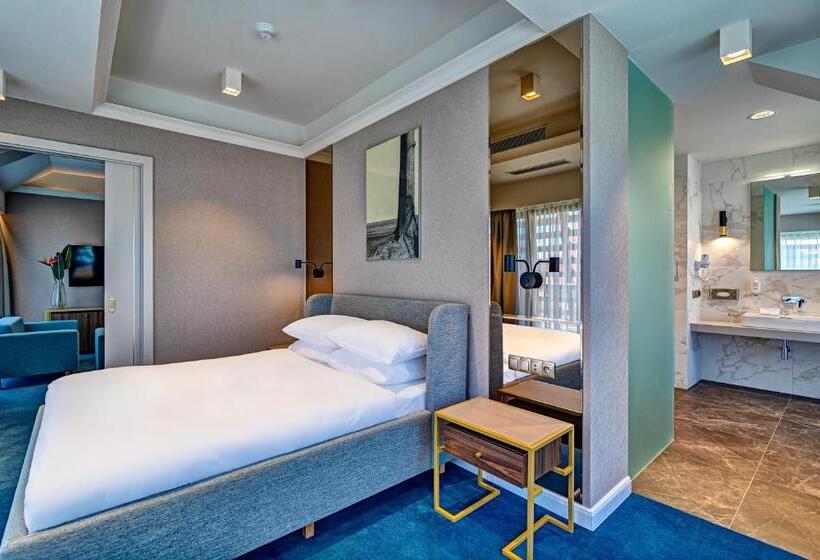 آپارتمان 1 خوابه با تراس, Old Town Haston