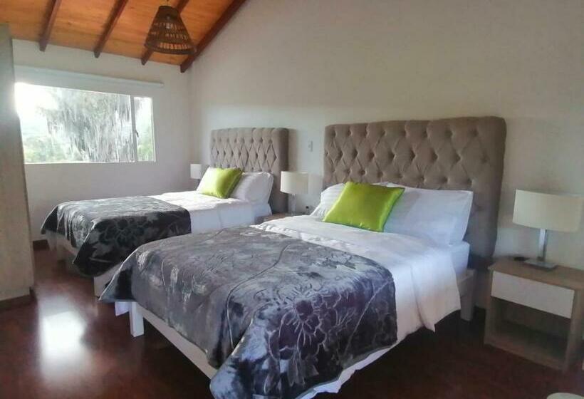 패밀리 룸, Boutique 14 Lanceros