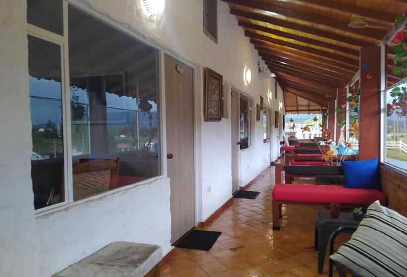 패밀리 룸, Boutique 14 Lanceros