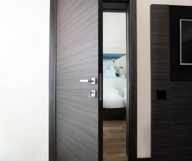 اتاق سوپریور, Life