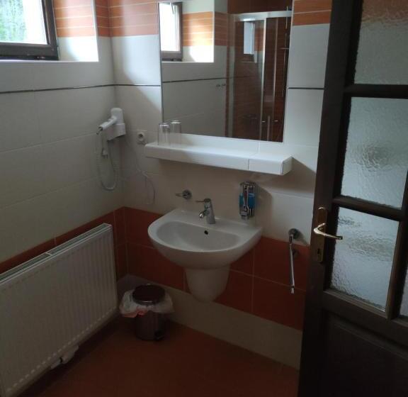 Четырехместный Номер Deluxe, Penzion My Lady Ii