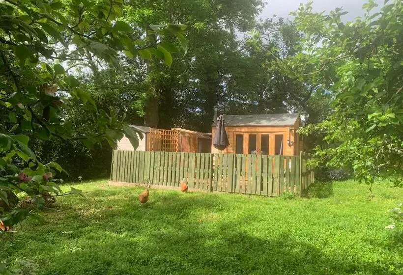 庭の見えるシングルルーム, Hedgehog Lodge