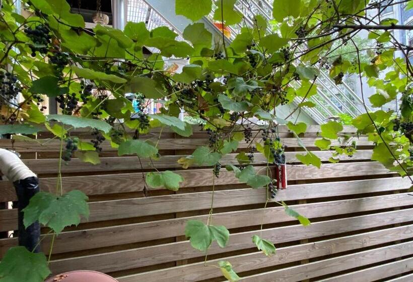 جناح ديلوكس, Northern Lights Mansion