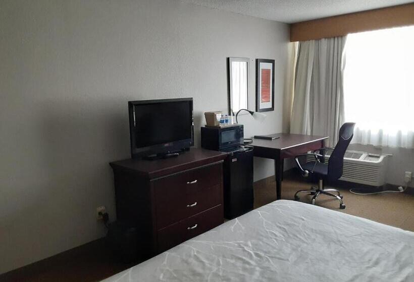 غرفة قياسية سرير كينج, The Dakota